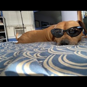 Meet your Posher, Trevor